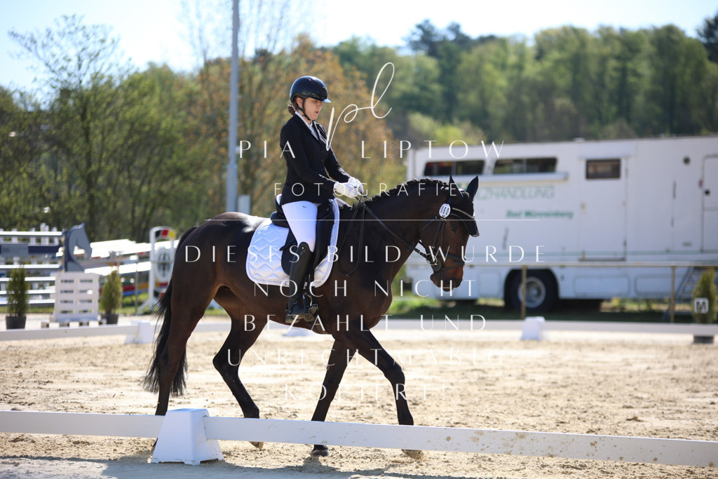 IMGT9615 | pl-fotografie