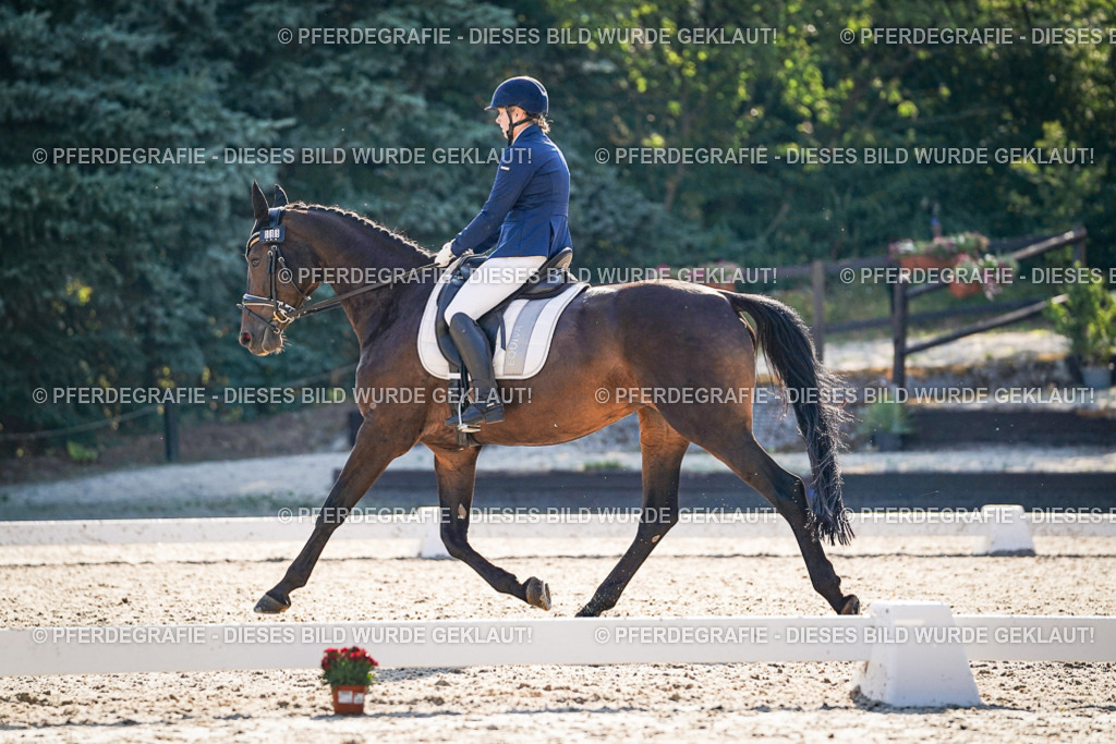 DSC09194 | Pferdegrafie