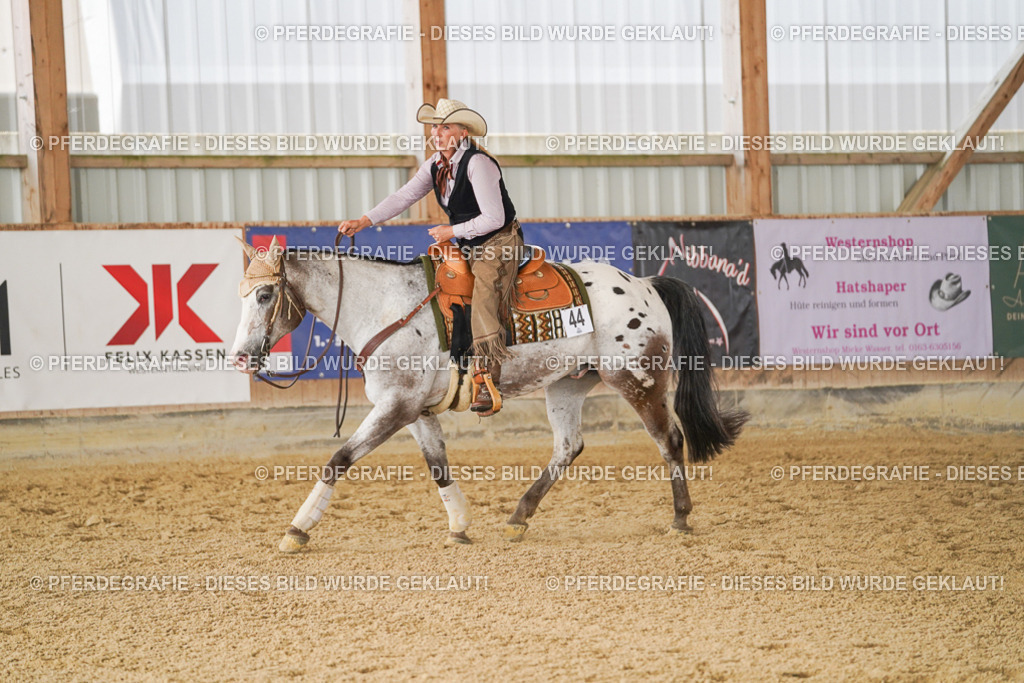 DSC01978 | Pferdegrafie