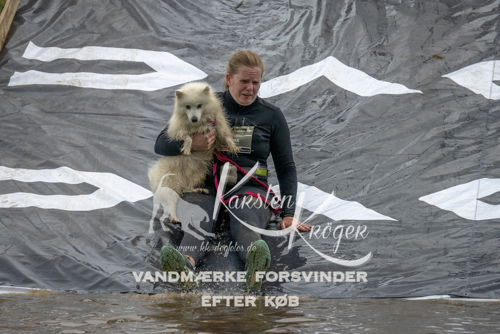 1543_ZZ90221 | kk-dogfotos