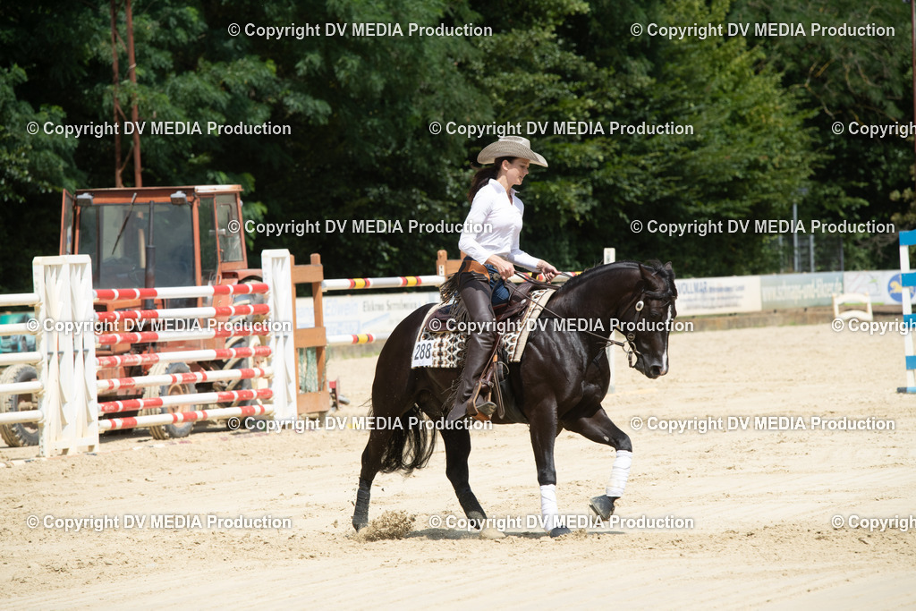 ZS3_9991 | dv-media-shop - Realisiert mit Pictrs.com