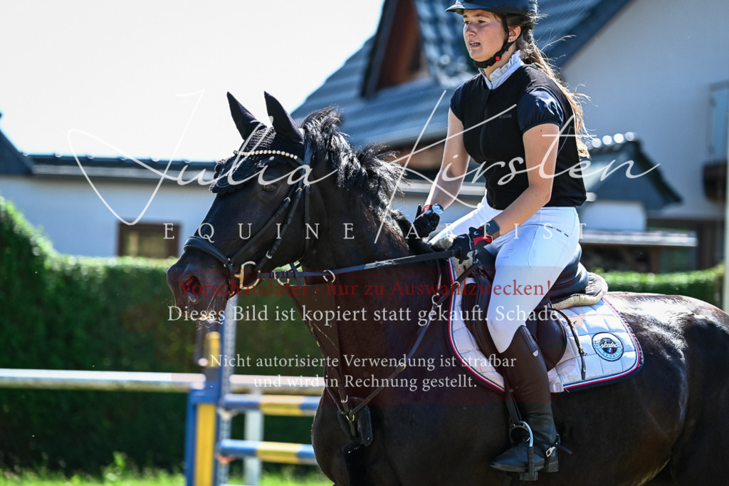 DSC_1334 | Pferde- und Turnierfotografie in Westsachsen. Pferdeportraits, Auftragszeichnungen und intuitive Kunst.