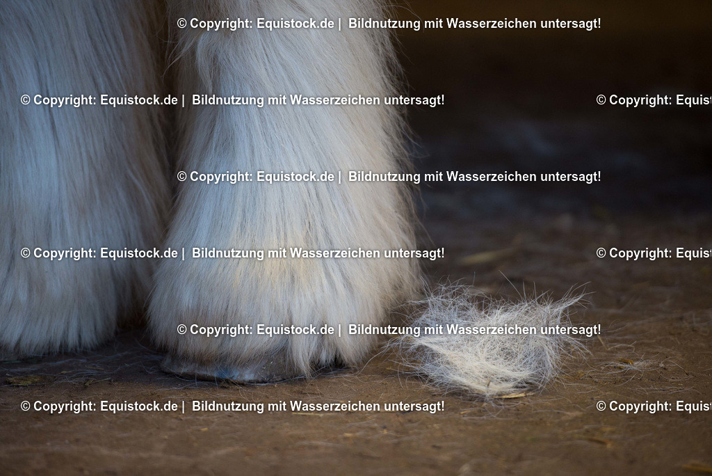 TS_20180305_Behang_Beine_0001 | Foto: Thomas Hartig