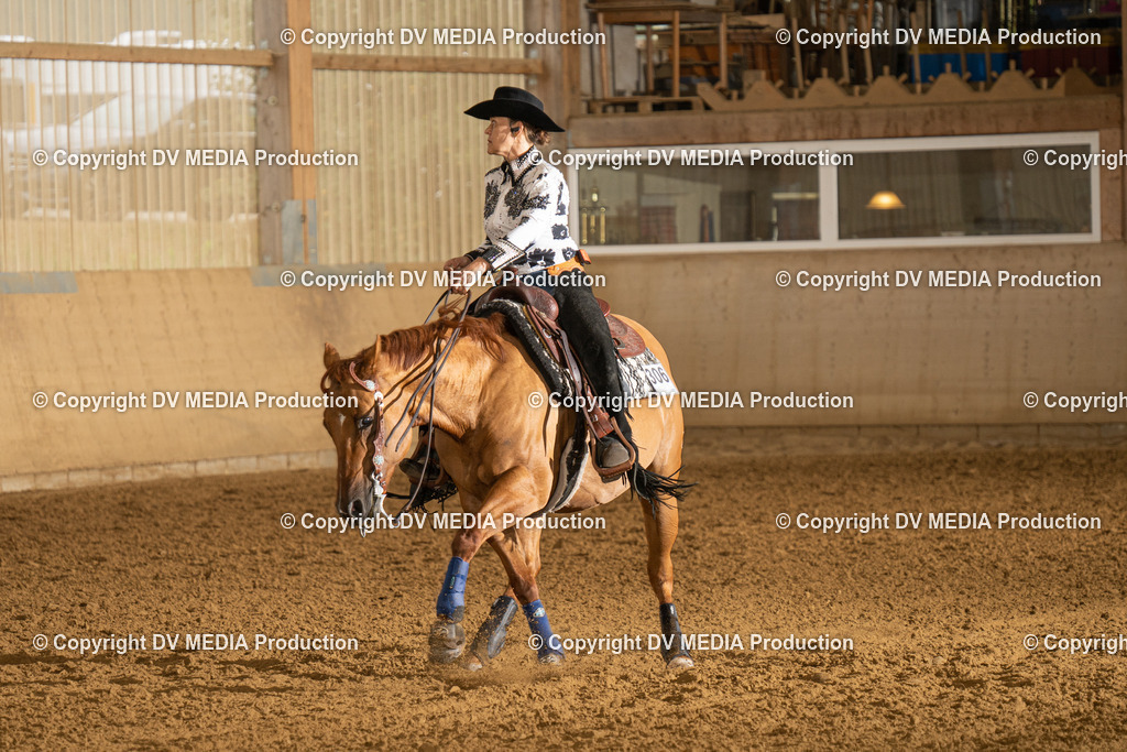 LAU00681 | dv-media-shop - Realisiert mit Pictrs.com