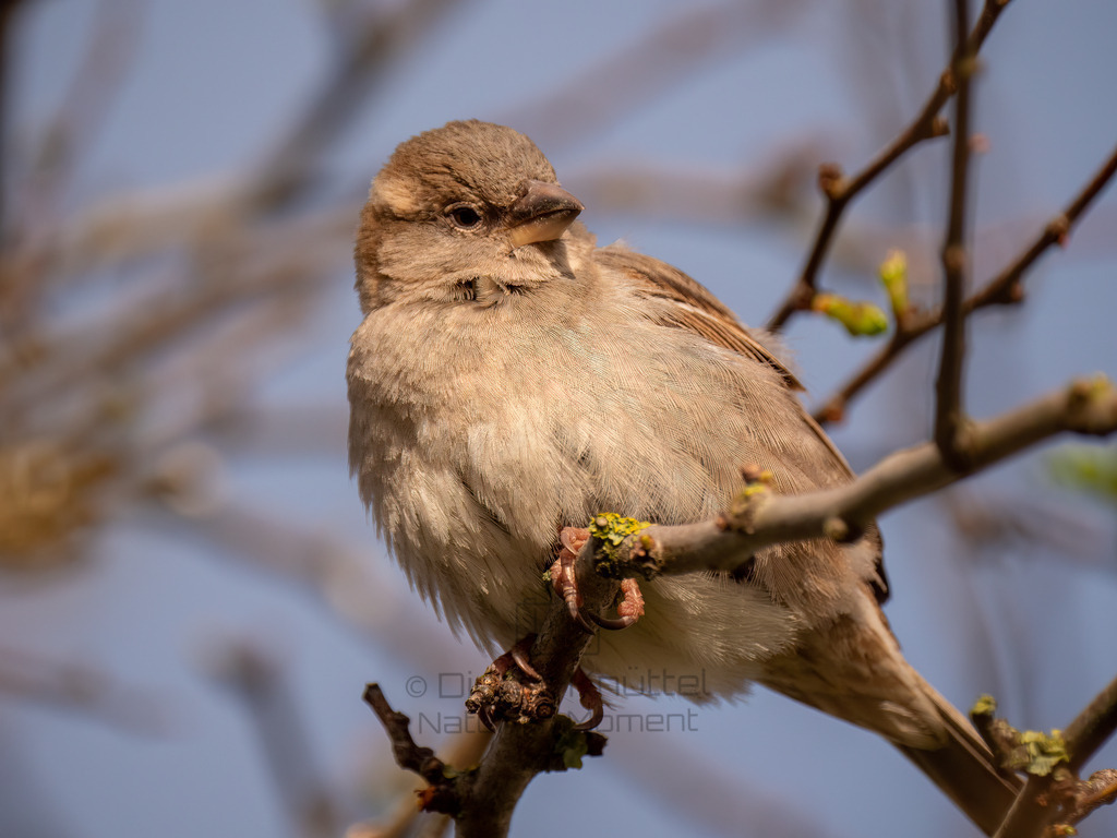 P1044046-Bearbeitet-2017-2-LR | Natur im Moment - Realisiert mit Pictrs.com