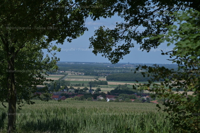 F.Gläser_1199 | Naturfotografie Frauke Gläser - Realisiert mit Pictrs.com