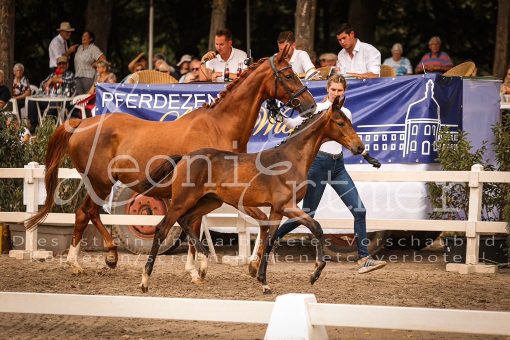 SaPA00303 | Leoni Ertmer Photography - Realisiert mit Pictrs.com