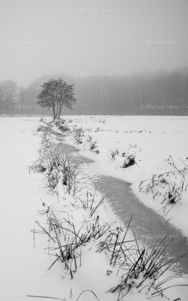 Winter in Schleswig-Holstein | Profi-Fotos über Schleswig-Holstein und dem ganzen Norden für Büro, Hotel, Ferienhaus, Ferienwohnung, Wohnzimmer, Arztpraxis uvm. jetzt bestellen. - Realisiert mit Pictrs.com