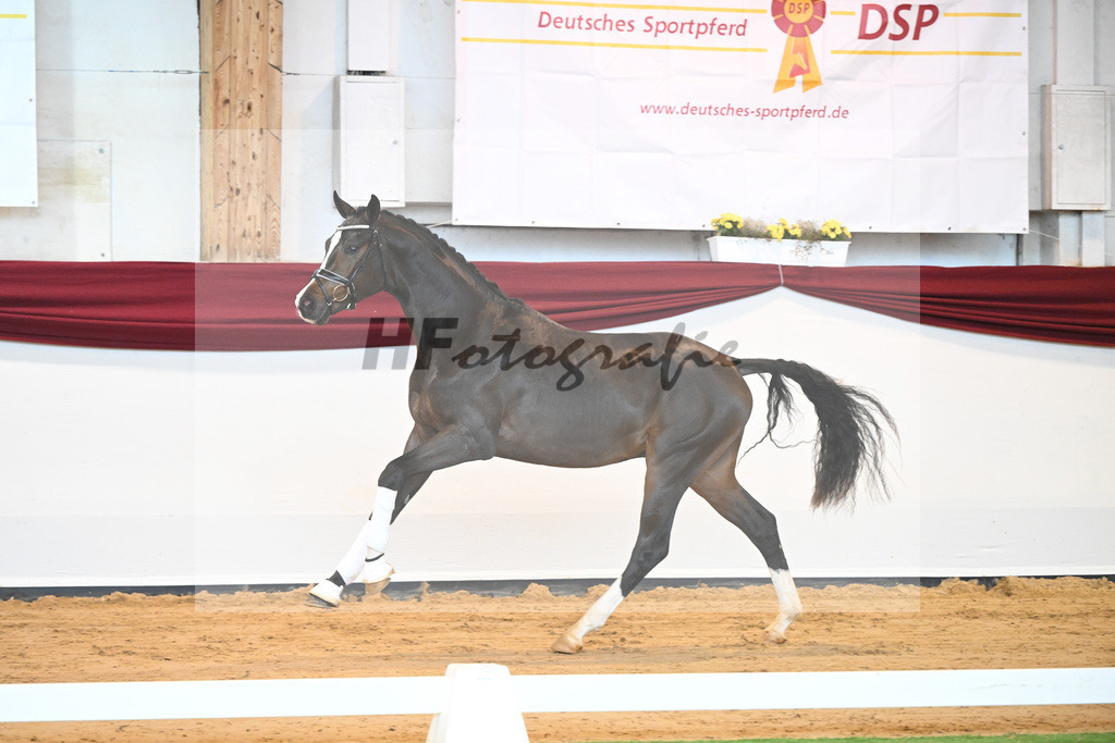 Kat-Nr. 31 v. Ferrantino_Lehner_66221843 | hf-fotografie - Realisiert mit Pictrs.com