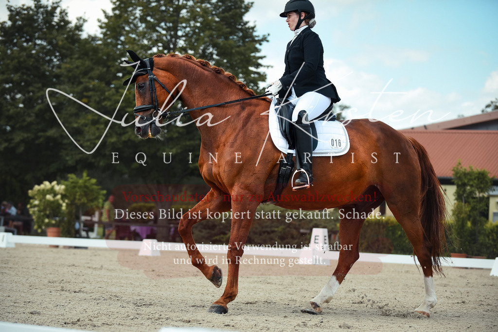 DSC_9111 | Pferde- und Turnierfotografie in Westsachsen. Pferdeportraits, Auftragszeichnungen und intuitive Kunst.