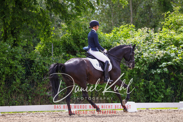 DKP41062 | Turnierfotos kaufen im Webshop von Daniel Kuhl Photography – entdecke professionelle Reitsportfotos aus Turnieren & Events. Hochwertige Turnierbilder online bestellen & sichern. Jetzt Fotos von Reitsportturnieren kaufen!