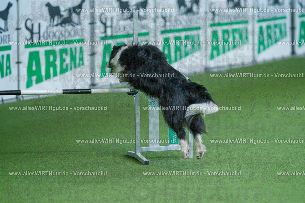 @allesWIRTHgut_Tierfotografie - www.allesWIRTHgut.de - 2604261508-7R504666 | Professionelle Tierfotografie in Mönchengladbach von Daniel Wirth (allesWIRTHgut). Liebevolle & natürliche Bilder von Hunden & Katzen für unvergessliche Erinnerungen.
