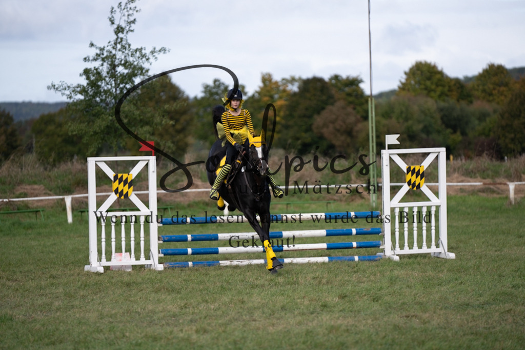 A7V06523 | Pferdefotograf