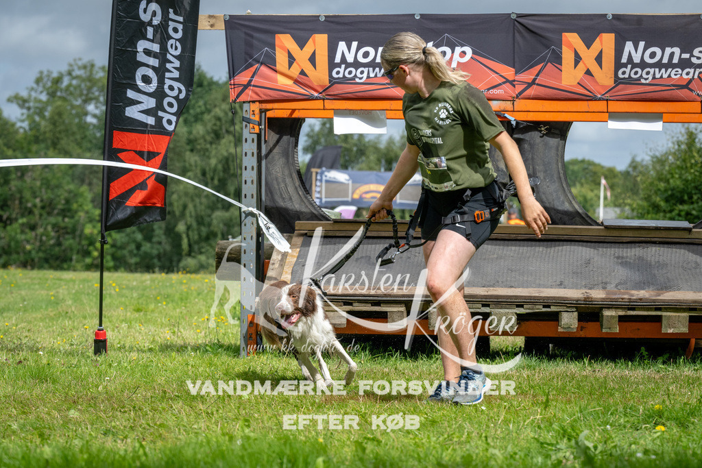 1147_ZZ93018 | kk-dogfotos