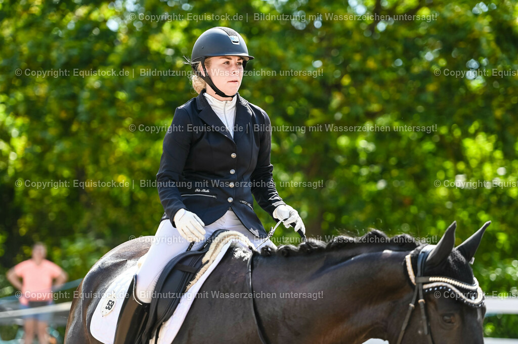 20230715_07_Dressurpferdeprfg. Kl.L_0168 | equistock