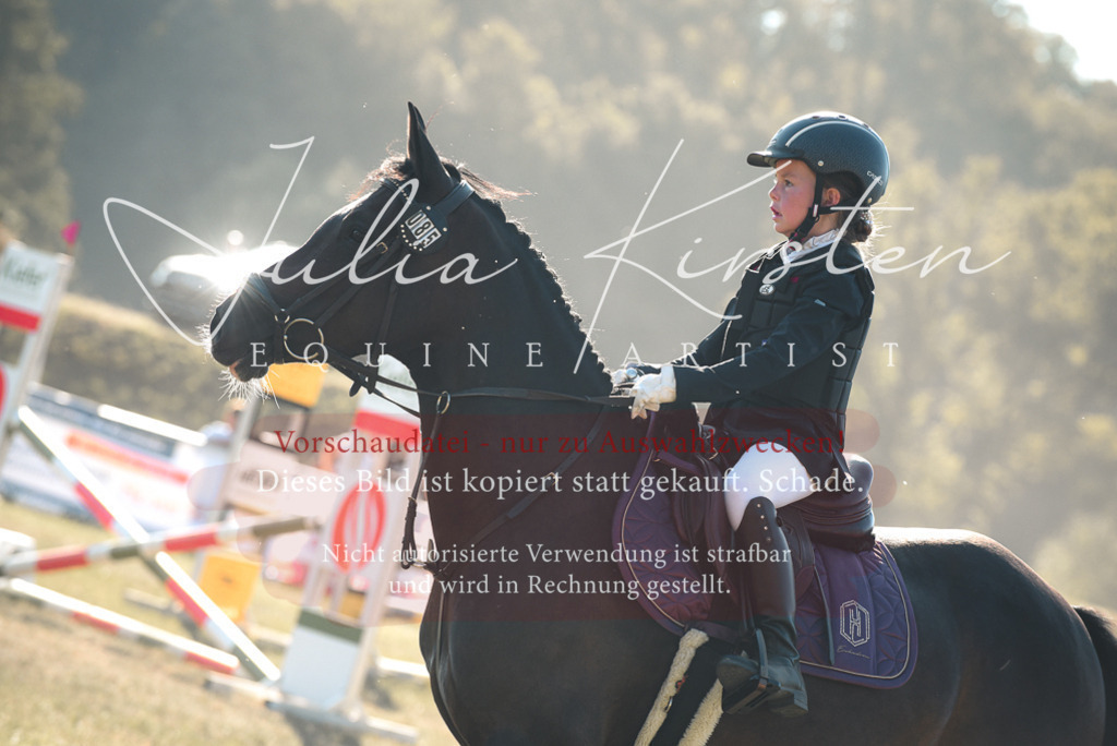 DSC_5698 | Pferde- und Turnierfotografie in Westsachsen. Pferdeportraits, Auftragszeichnungen und intuitive Kunst.