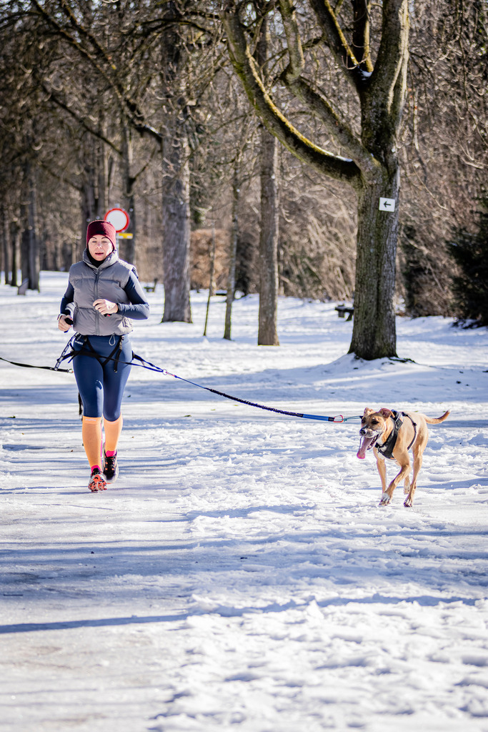 IMAG0317 | SportEventFotografie - Roman Stoiber
