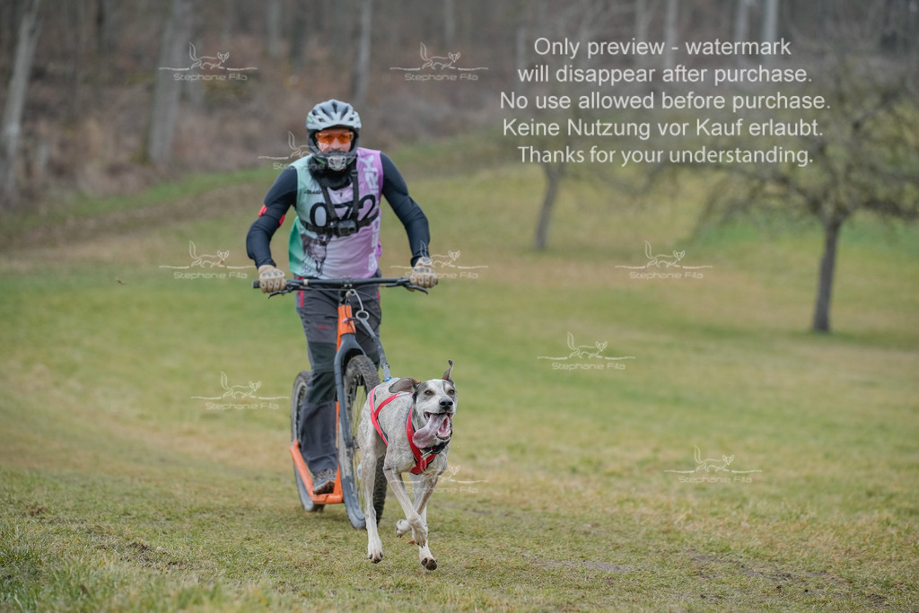 Sa_Scooter1-39 | stephaniefillaphotographie - Realisiert mit Pictrs.com