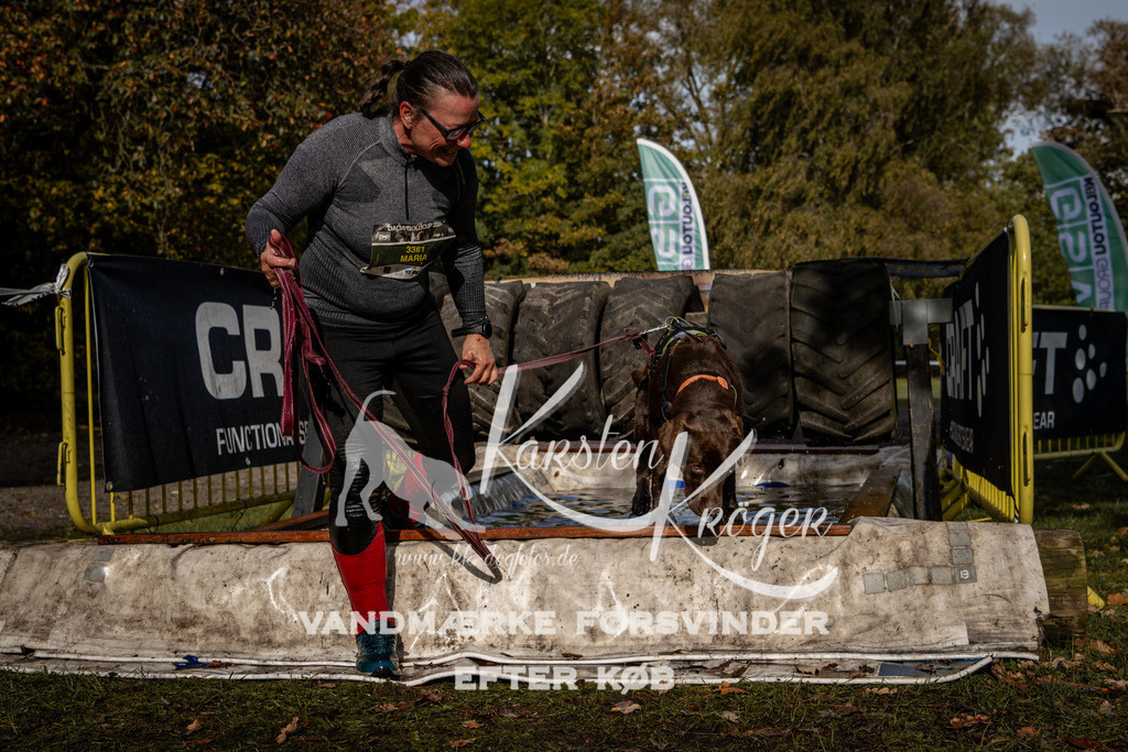 1319_ZZ92364 | kk-dogfotos