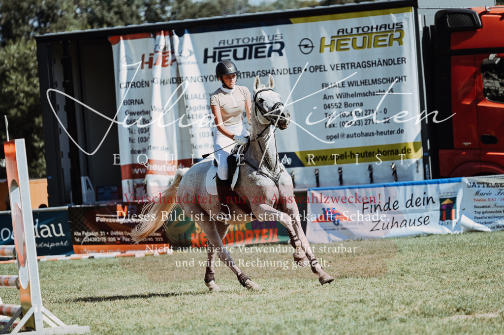 DSC_6877 | Pferde- und Turnierfotografie in Westsachsen. Pferdeportraits, Auftragszeichnungen und intuitive Kunst.