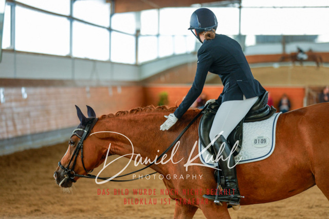 _62_5404 | Turniersportfotografie; Pferdefotografie; Dressurfotografie