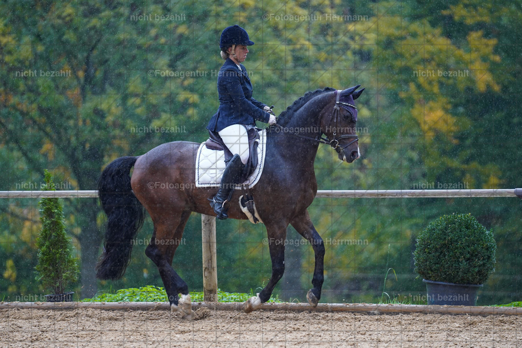 20221008-FAH02050 | Diessen am Ammersee, 2022, Dressur- und Springturnier, Reitsportbilder, Turnierfotografen Bayern, Pferdefotografen, Fotoagentur Herrmann, Turnierbilder
