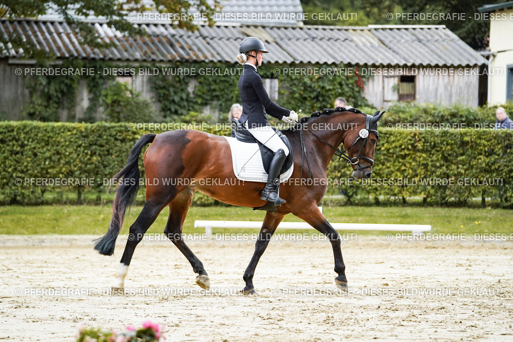 DSC06399 | Pferdegrafie