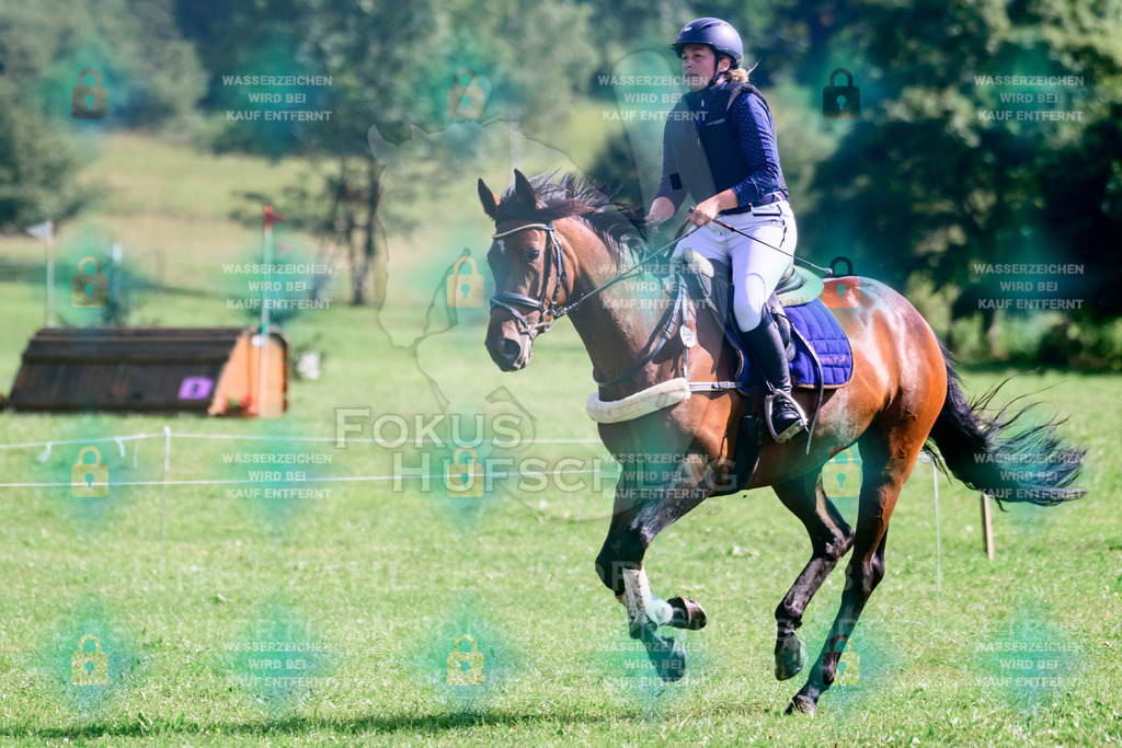 18072026-Schwaiganger-Prfg06-0038 | Fokus Hufschlag Fotografie - Realisiert mit Pictrs.com