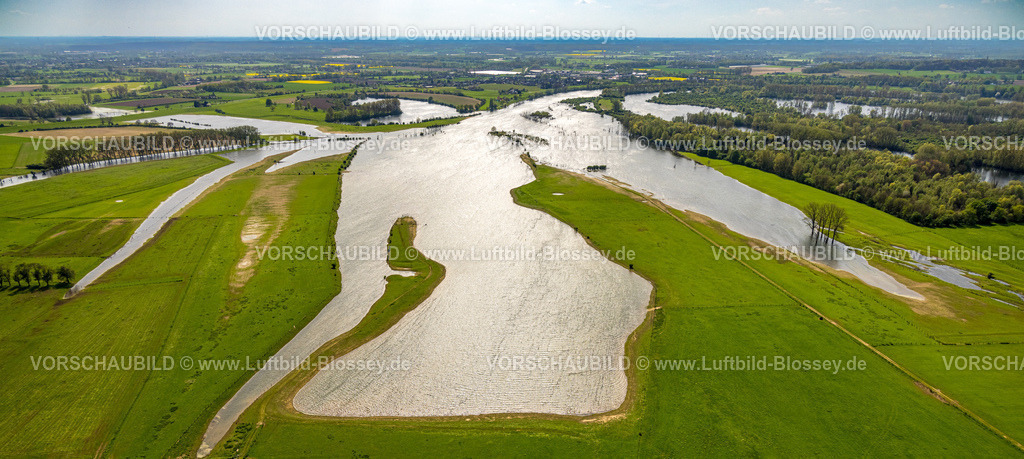 Wesel240402181BislicherInsel-Wesel | Luftbild, NSG Naturschutzgebiet Bislicher Insel Auenlandschaft, Fluss Alter Rhein, Bäume im Wasser und Waldgebiet, Fernsicht, Ginderich, Wesel, Niederrhein, Nordrhein-Westfalen, Deutschland