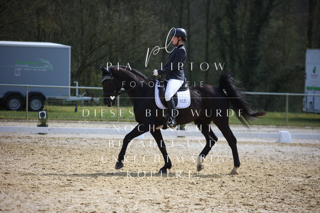 IMGT4651 | pl-fotografie