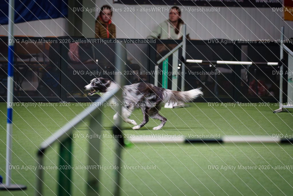 allesWIRTHgut_Tierfotografie-DVG_Agility_Masters_2026-16_41-7R508436 | Professionelle Tierfotografie in Mönchengladbach von Daniel Wirth (allesWIRTHgut). Liebevolle & natürliche Bilder von Hunden & Katzen für unvergessliche Erinnerungen.