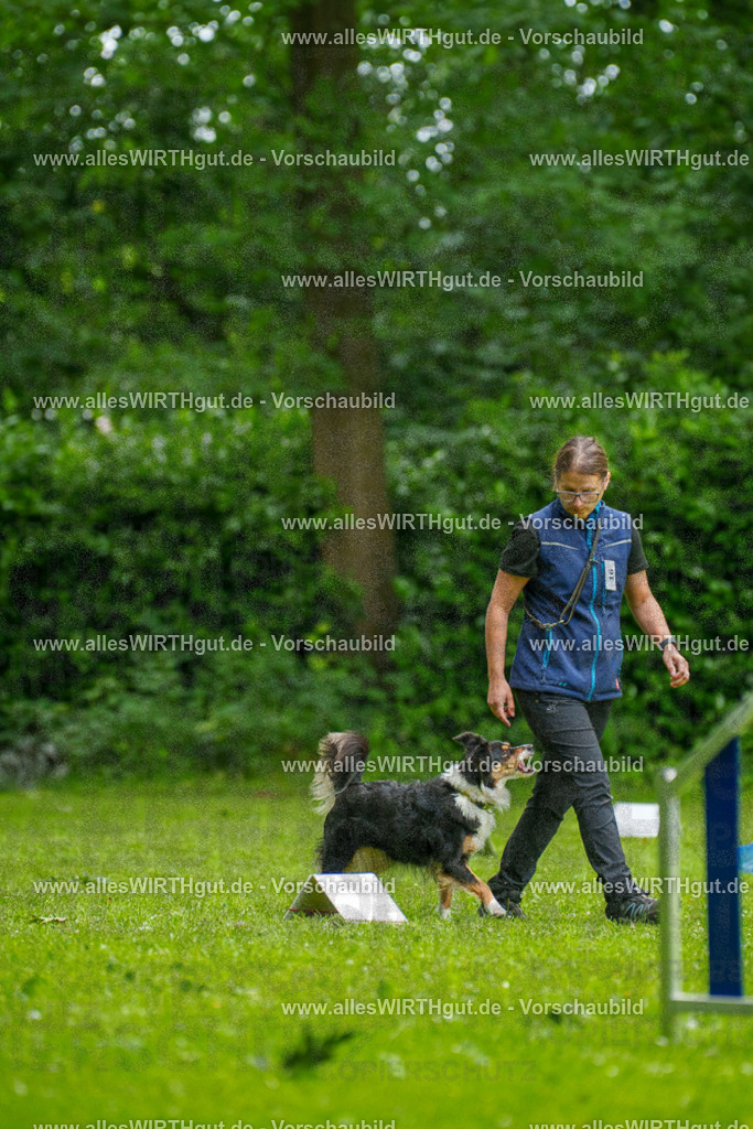@allesWIRTHgut_Tierfotografie - www.allesWIRTHgut.de - 091715-7R506844 | Professionelle Tierfotografie in Mönchengladbach von Daniel Wirth (allesWIRTHgut). Liebevolle & natürliche Bilder von Hunden & Katzen für unvergessliche Erinnerungen.