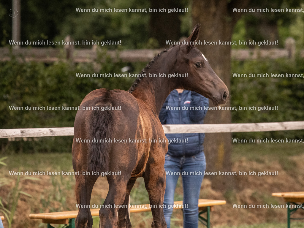A10I4510 15.58.11 | photographylinaismer - Realisiert mit Pictrs.com