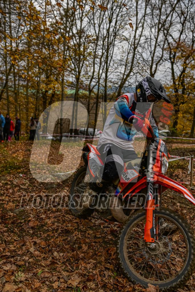 NZ8_6601 | grenznic640