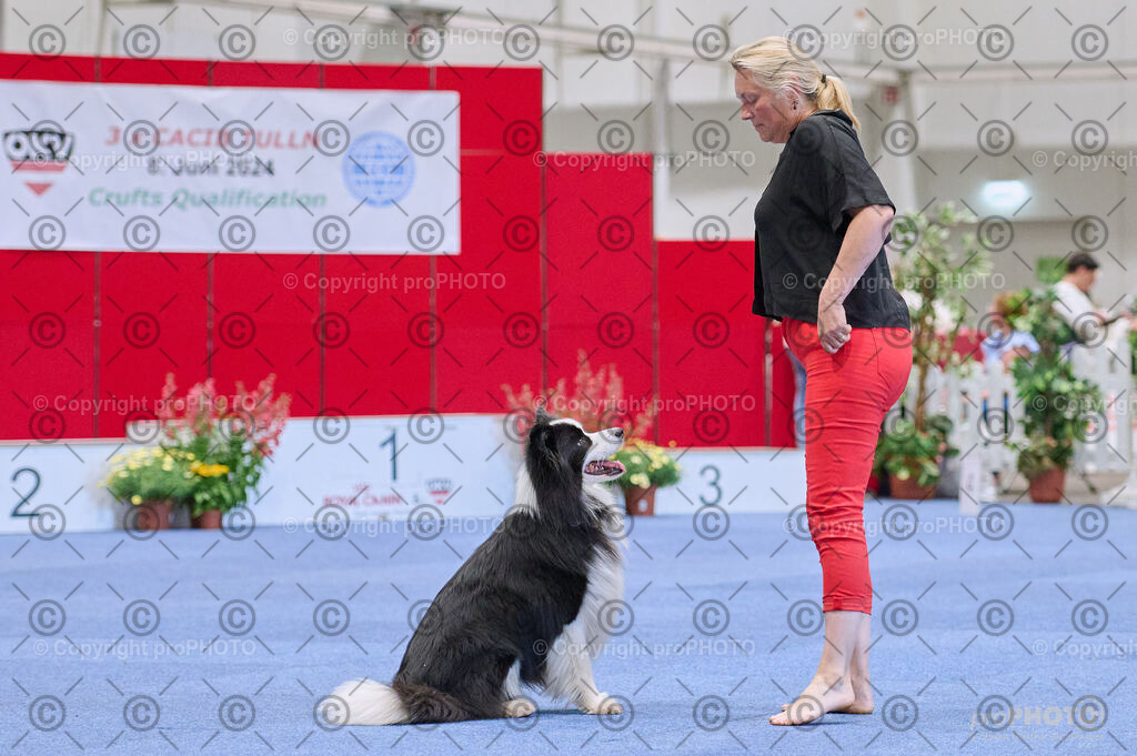 202406_ÖKV-IHA-Tulln24_DSC_4304 | proPHOTO - Realisiert mit Pictrs.com