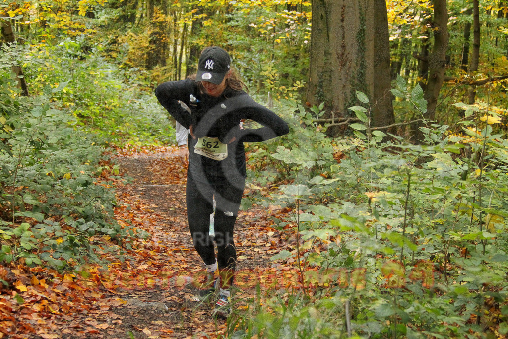 251026_1324_EV4_6915 | Sportfotografie im Rhein-Sieg Kreis, Köln, Bonn, NRW, Rheinland Pfalz, Hessen, etc. Unser Tätigkeitsfeld umfasst den Laufsport vom Volkslauf über den Marathon, Duathlon, Triathon bis zum Ultralauf wie Kölnpfad Ultra oder Schindertrail.