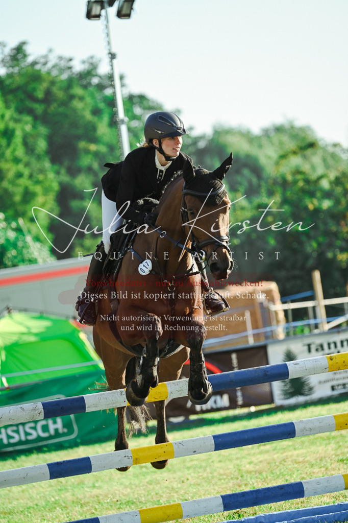 DSC_4303 | Pferde- und Turnierfotografie in Westsachsen. Pferdeportraits, Auftragszeichnungen und intuitive Kunst.