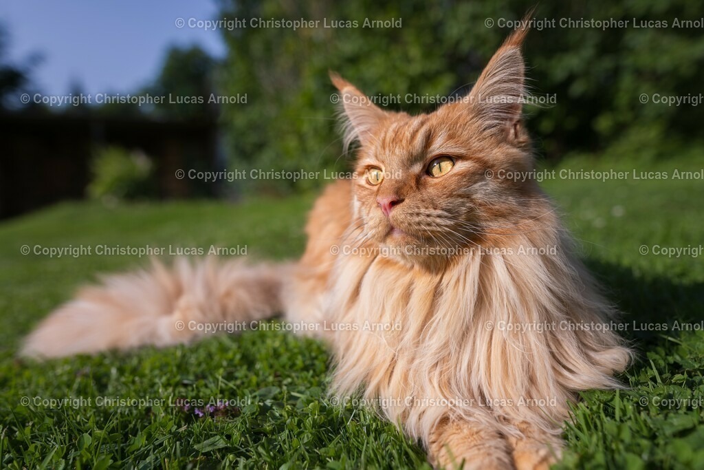 08 | bildkomponist - Realisiert mit Pictrs.com