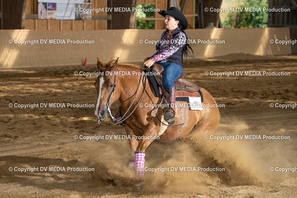 DSC00455 | dv-media-shop - Realisiert mit Pictrs.com