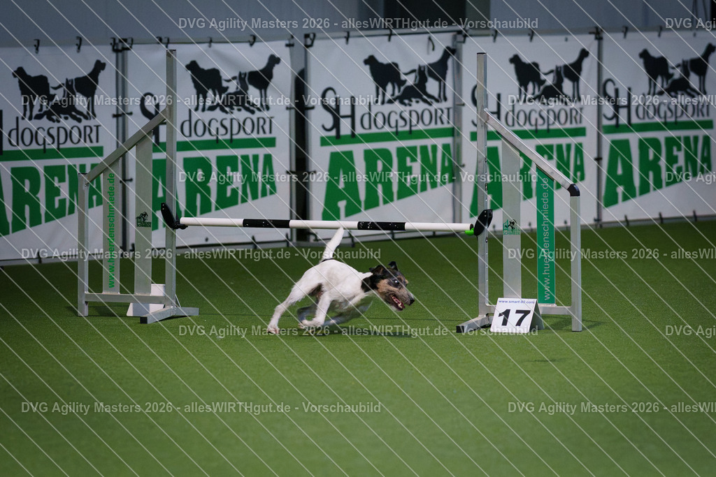 allesWIRTHgut_Tierfotografie-DVG_Agility_Masters_2026-09_06-7R508757 | Professionelle Tierfotografie in Mönchengladbach von Daniel Wirth (allesWIRTHgut). Liebevolle & natürliche Bilder von Hunden & Katzen für unvergessliche Erinnerungen.