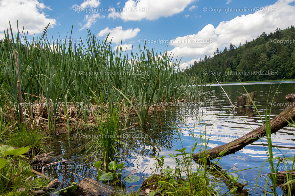 Frillensee | medienkrizzler - Realisiert mit Pictrs.com