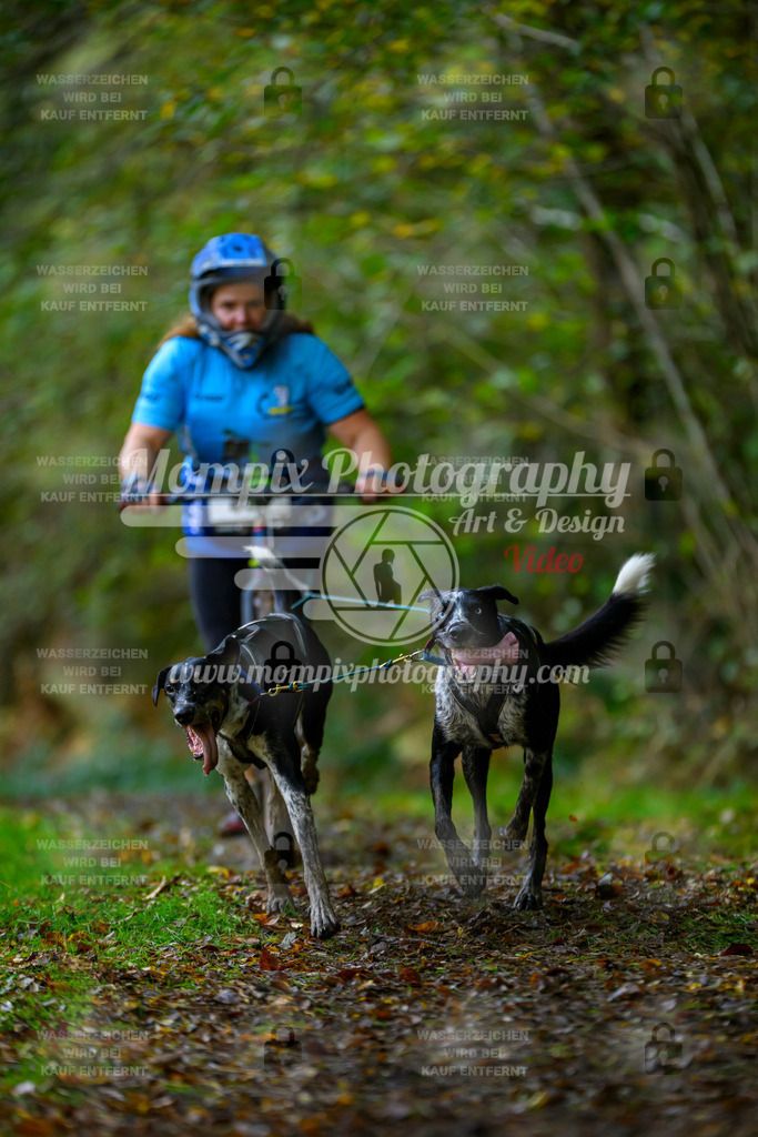 MompixPhotography_20TSB_E1_DS2-14 | PayLife