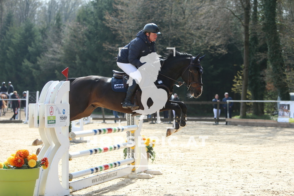 DL2Q9080 | Willkommen bei Brunnmayr - Design & Fotografie – Ihrem Spezialisten für Reitturniere und Pferdeveranstaltungen in Oberösterreich, Salzburg und Bayern! Seit über 17 Jahren sind wir leidenschaftlich dabei.