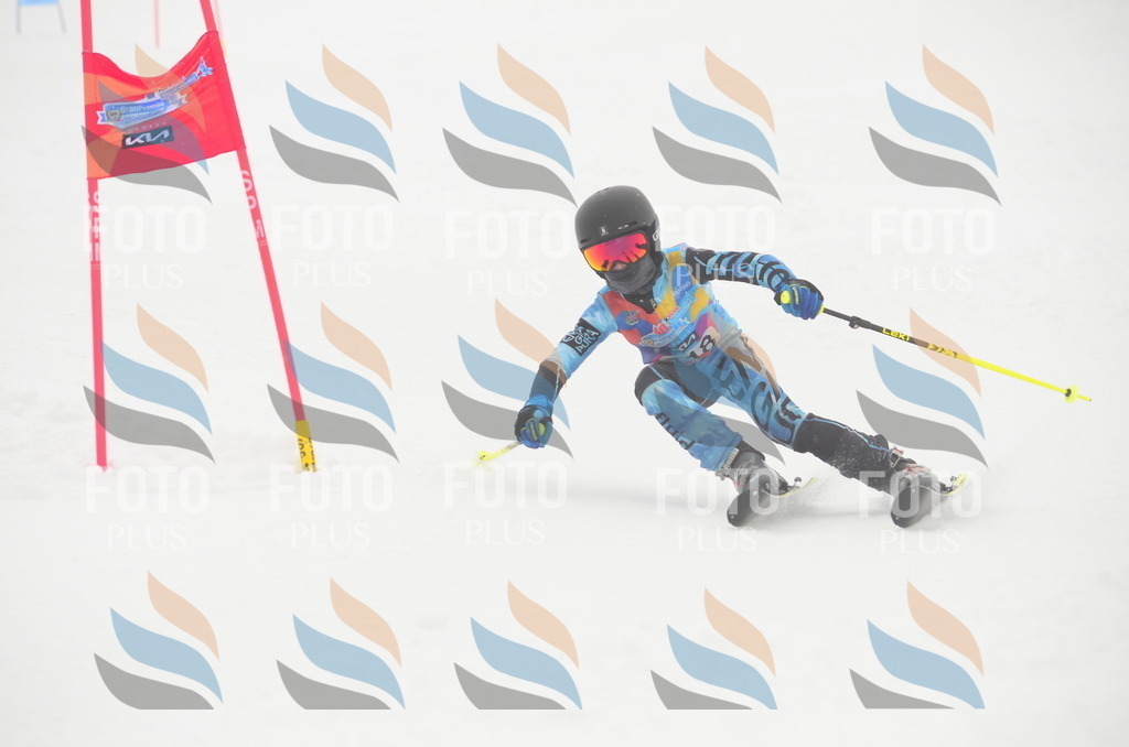 C1529 | holidayphoto