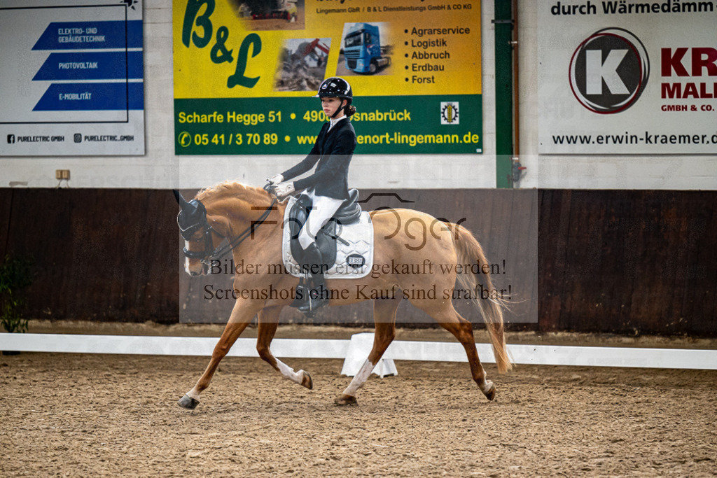 20240310-DOS_8584 | Entdecke hochwertige Reitturnierfotos von Foto Oger. Professionell, emotional und authentisch – jetzt Lieblingsmomente im Shop bestellen. - Realisiert mit Pictrs.com