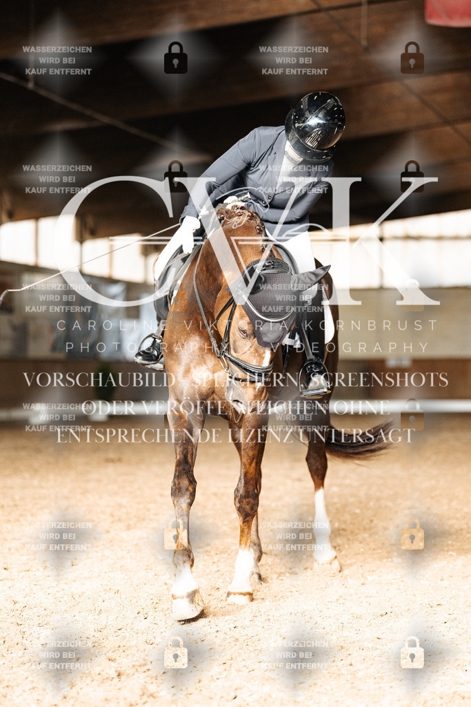CK902767 | Turnierfotografie Pferdefotografie Trier Rheinland-Pfalz Pferdesport Reitsport Tierfotografie Sportfotografie Pferdevideo Pferdevideografie Equestrianvideography equestrianphotography  - Realisiert mit Pictrs.com