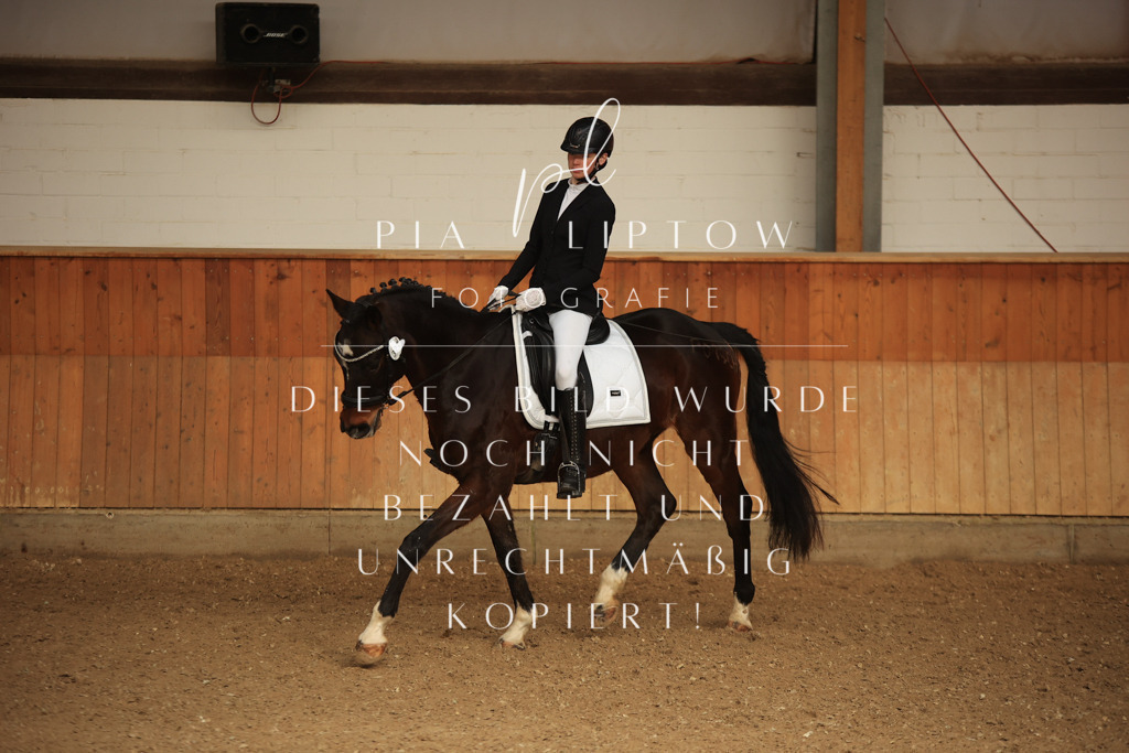 IMGT5433 | pl-fotografie