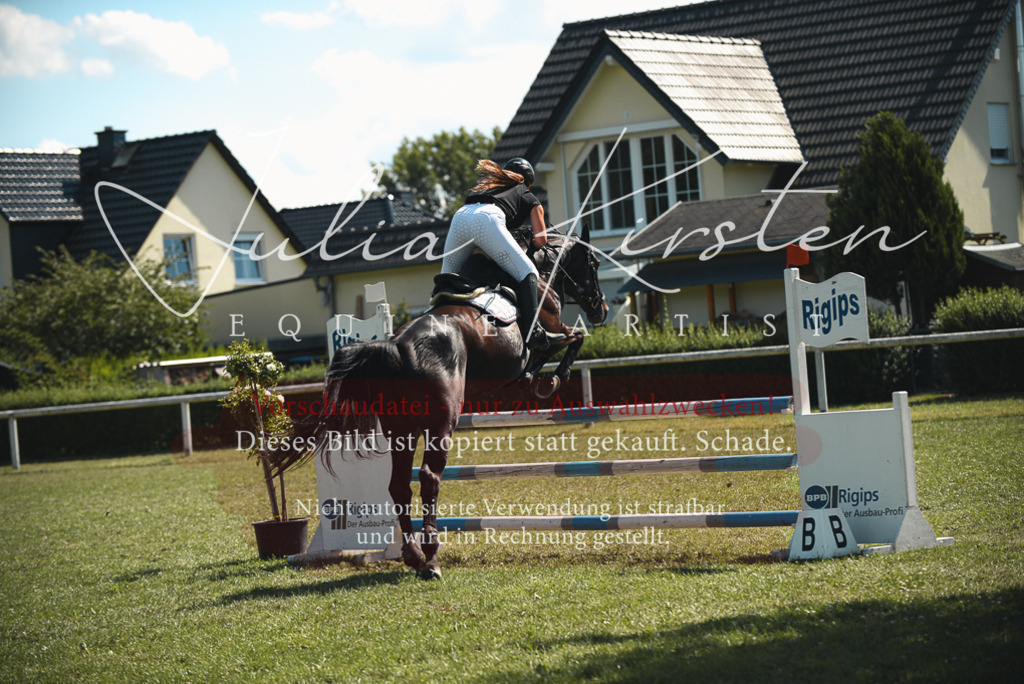 DSC_7073 | Pferde- und Turnierfotografie in Westsachsen. Pferdeportraits, Auftragszeichnungen und intuitive Kunst.