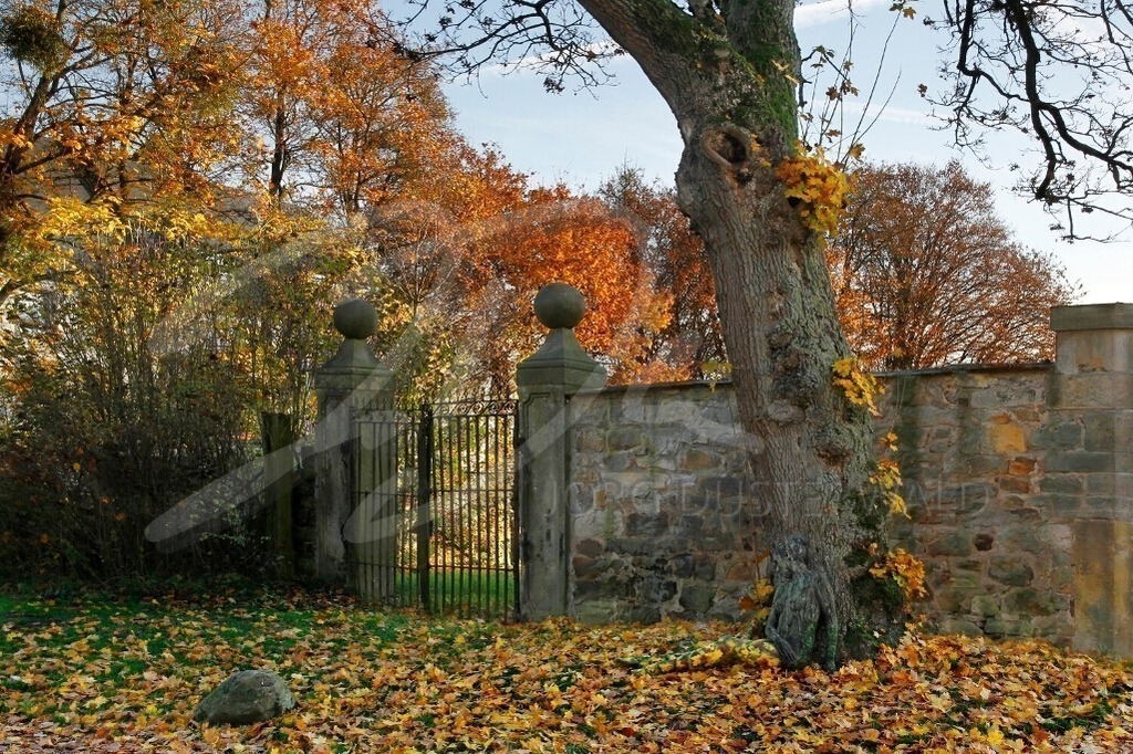 DoorArt-HERBSTTOR_1557 | #001 | Modell: Nina | Foto: Tschiponnique Skupin - Realisiert mit Pictrs.com