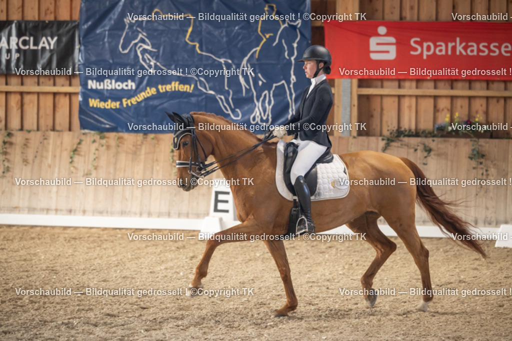 _D5A2763 | Emotionale Pferde- & People-Fotografie rund um Heidelberg, Leimen & Umgebung. Natürliche Fotos von Pferd, Mensch & Familie. Jetzt Termin sichern!